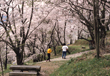 橋本市　高野口公園