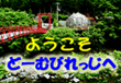 どーむびれっじキャンプ場