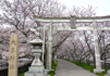 大年神社